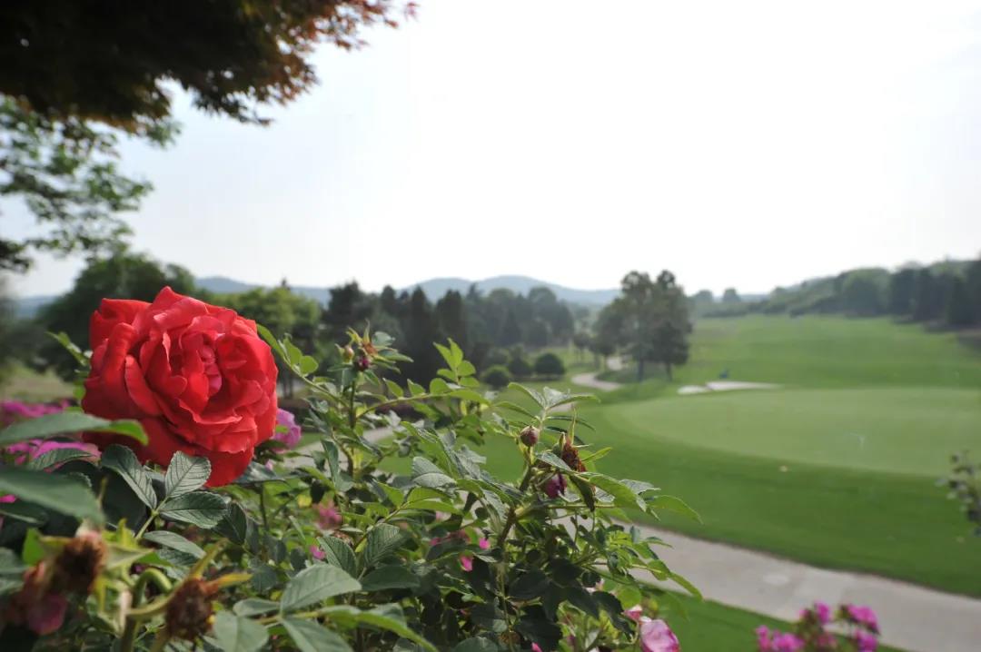 南京银杏湖高尔夫1天1晚1球套餐