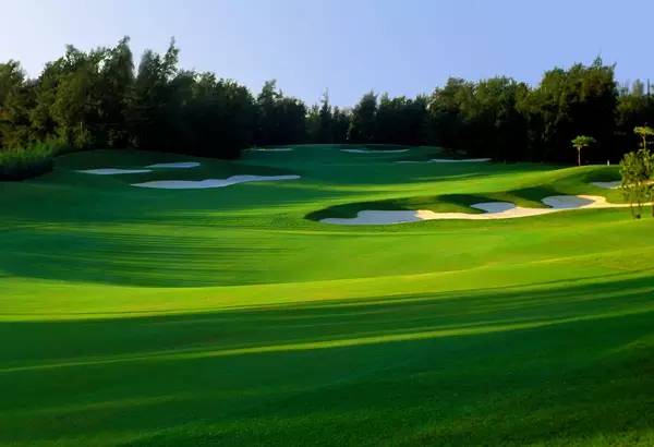 美视高尔夫球会（球场改造）