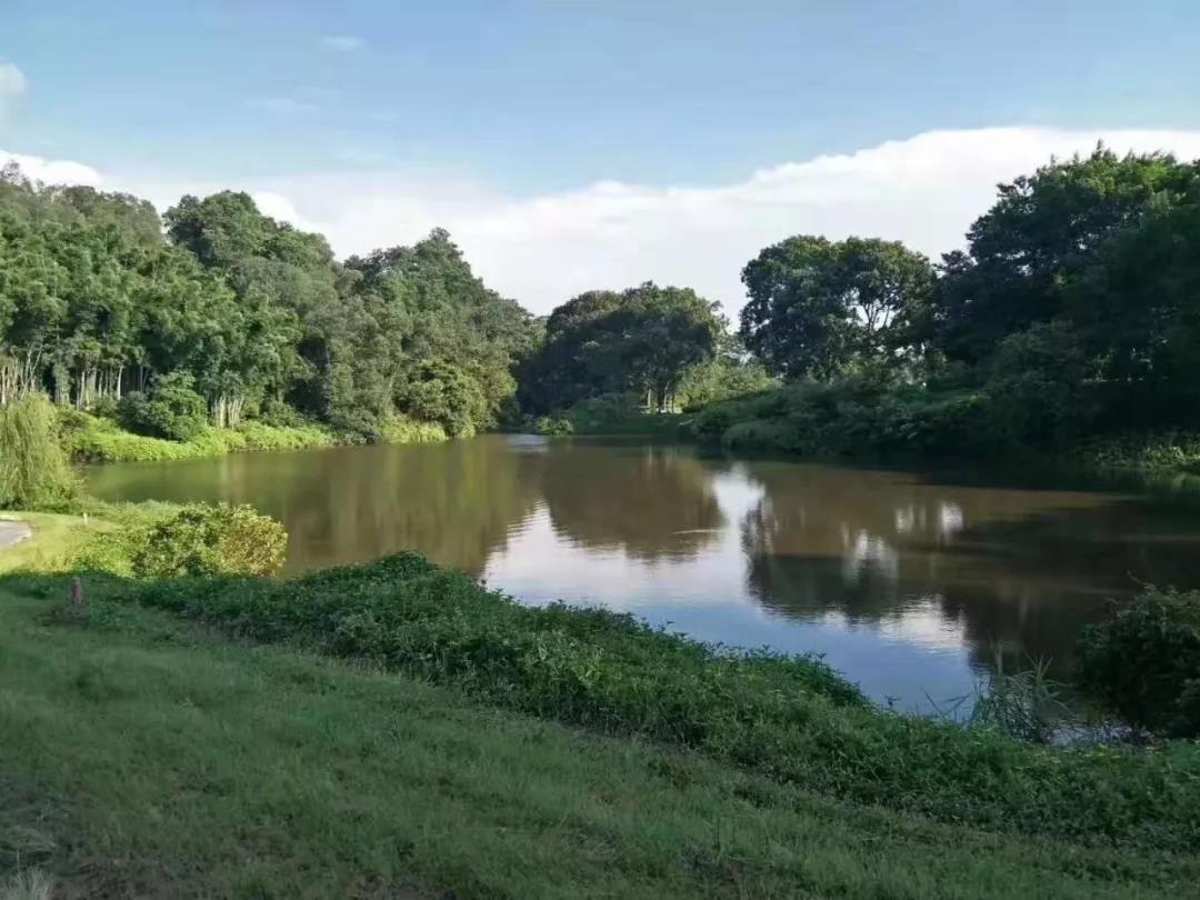 广州荔湖高尔夫球会