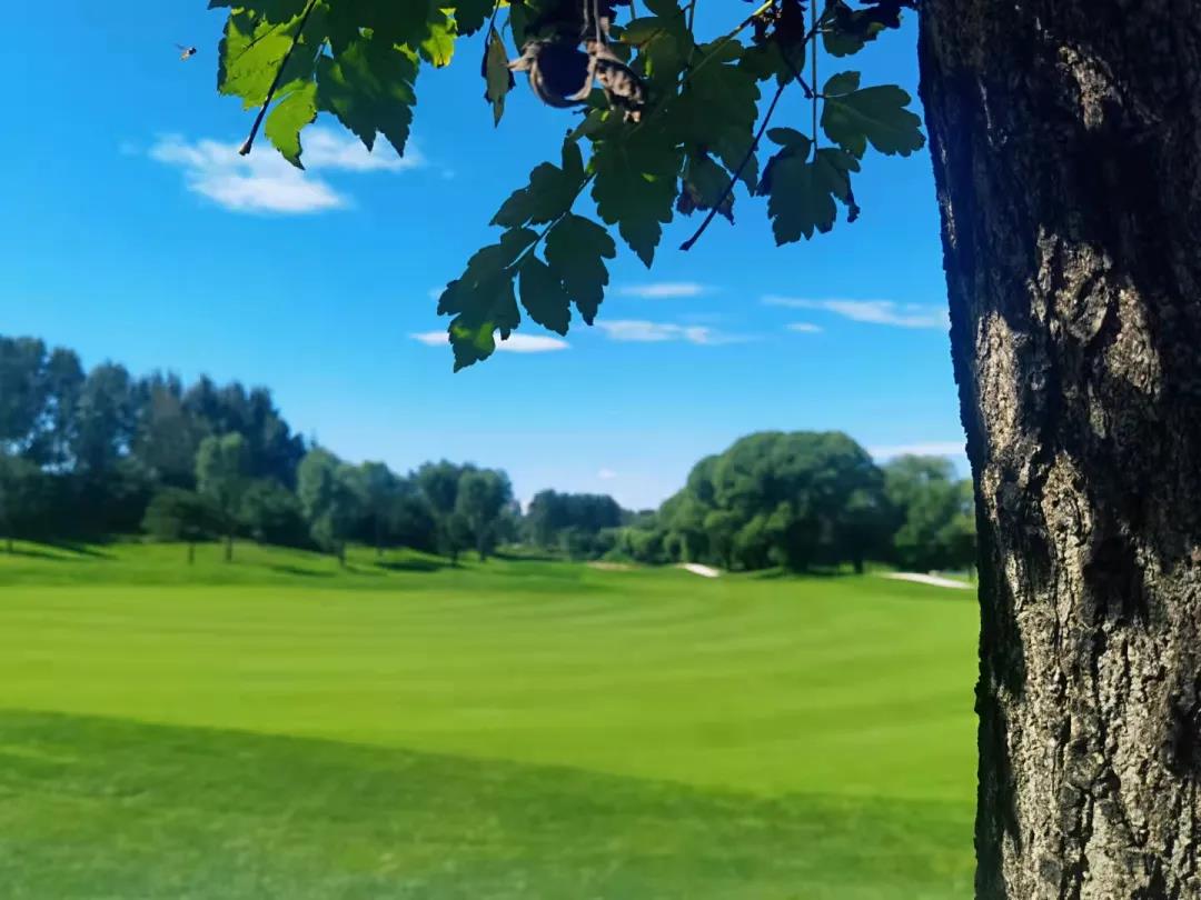 东方天星高尔夫球会