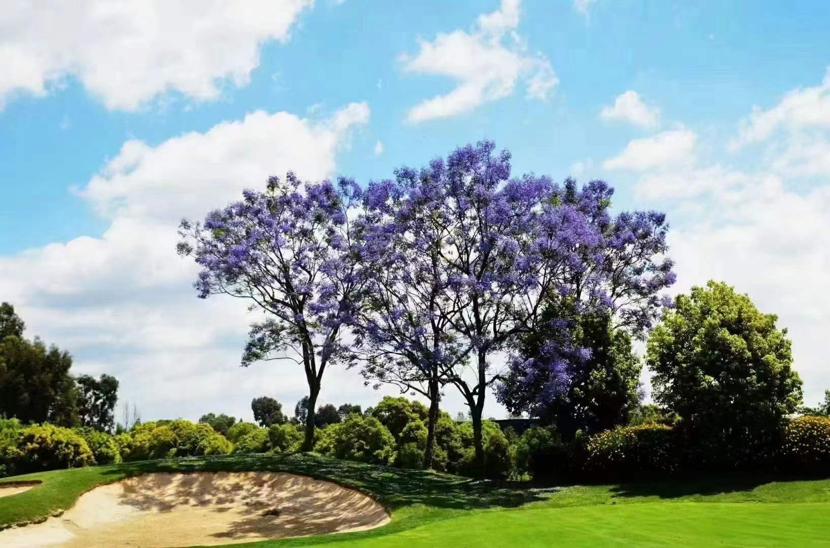 滇池高尔夫球会