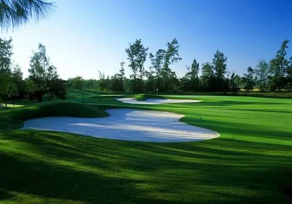 美视高尔夫球会（球场改造）