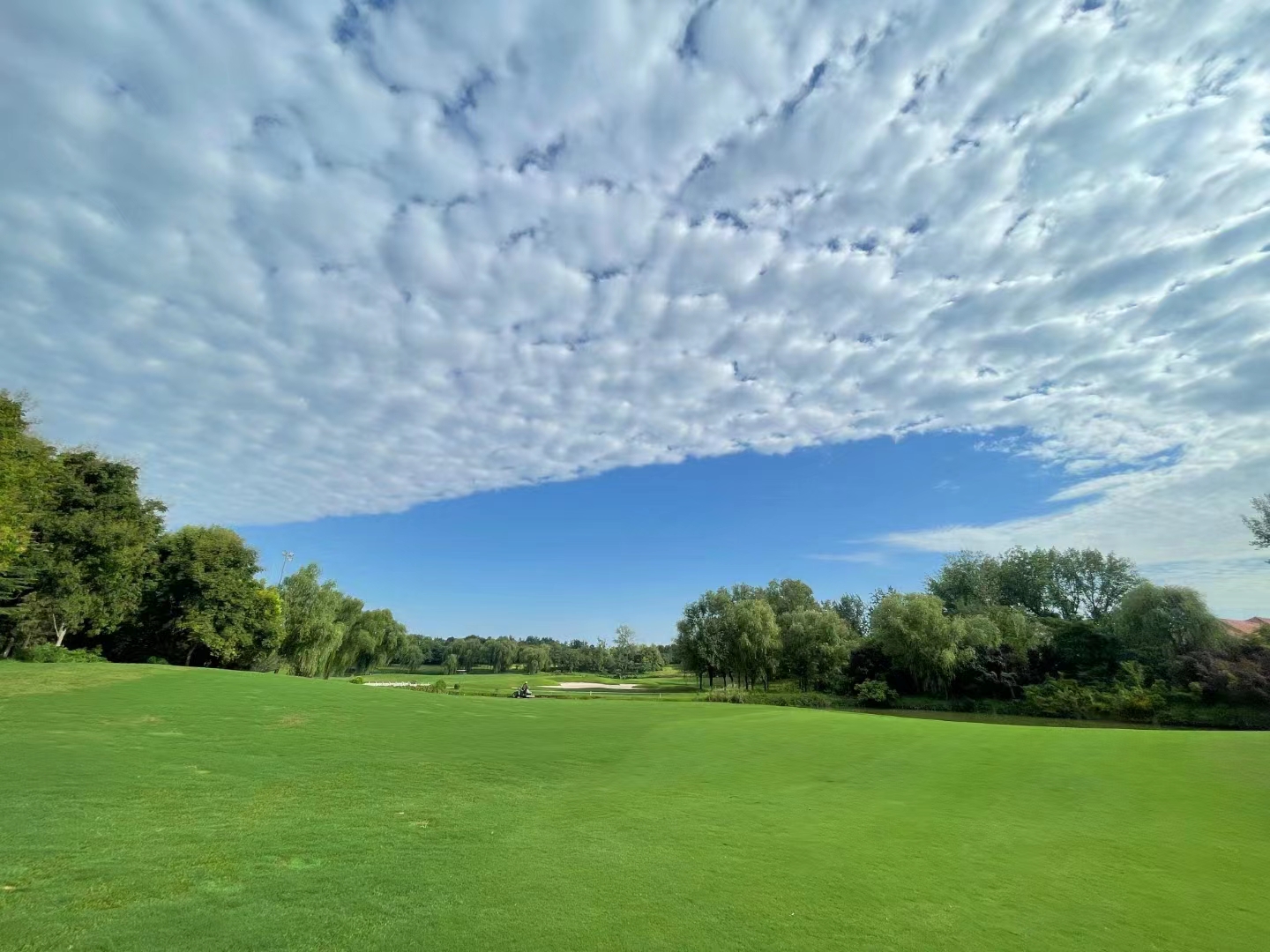 河南思念高尔夫球会