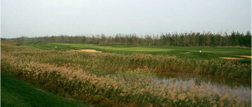 射阳海滨高尔夫球会