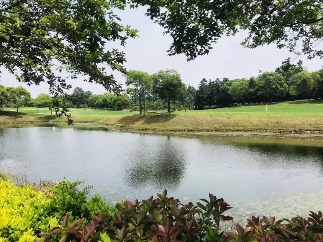 龙山湖高尔夫球会