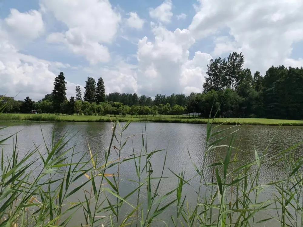 昆山太阳岛高尔夫球会