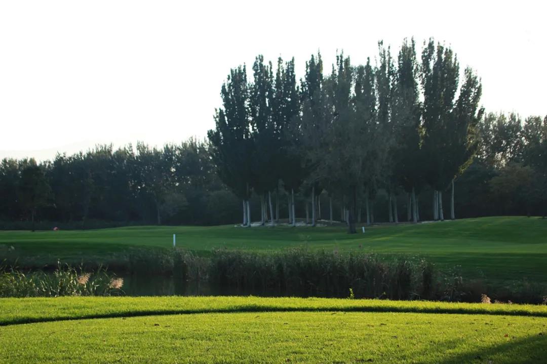 艾力枫社高尔夫球会