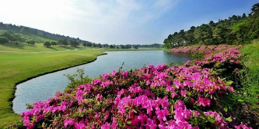 南京银杏湖高尔夫1天1晚1球套餐