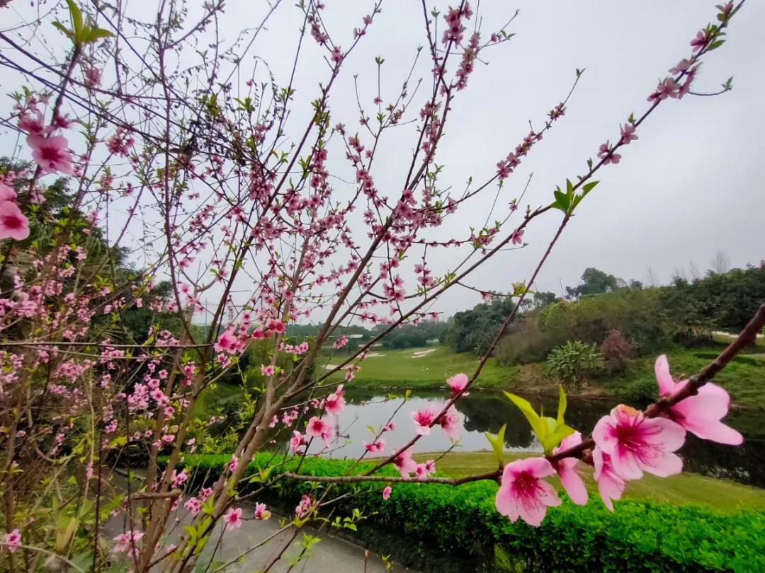 重庆红鼎高尔夫球会