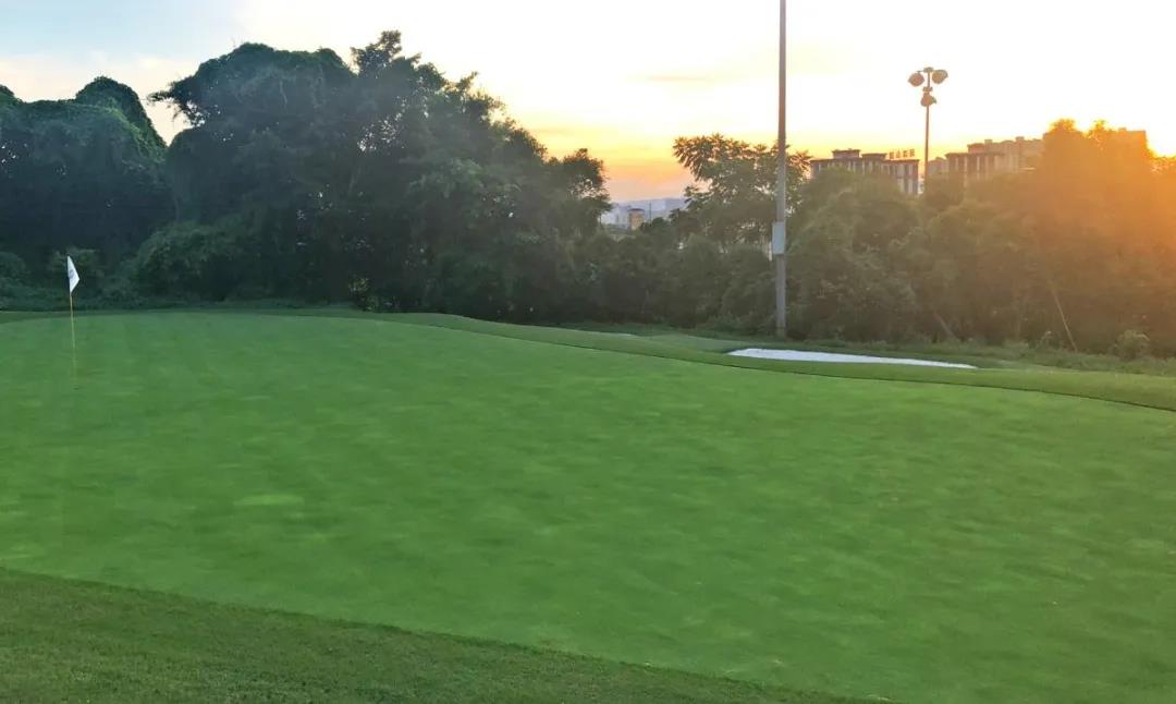 远洋国际高尔夫球会