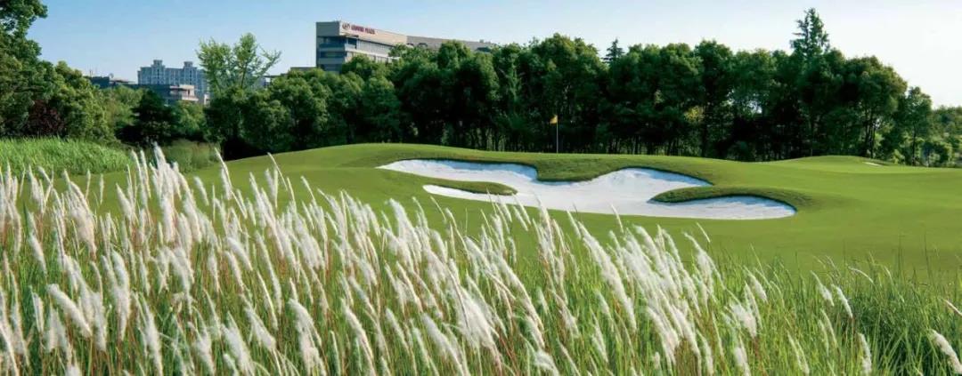 颖奕安亭高尔夫球会