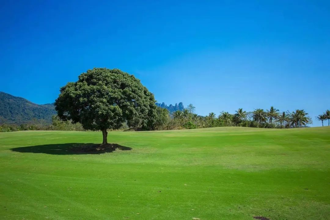 七仙岭温泉高尔夫球会