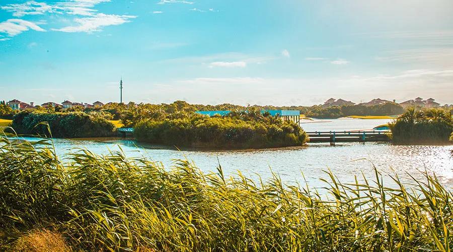 棕榈滩高尔夫球会