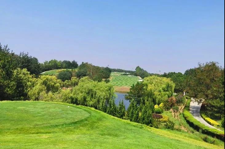 南山国际高尔夫球会