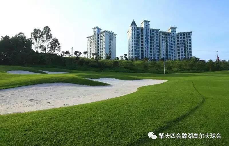 四会臻湖+肇庆金立 2球1晚套餐