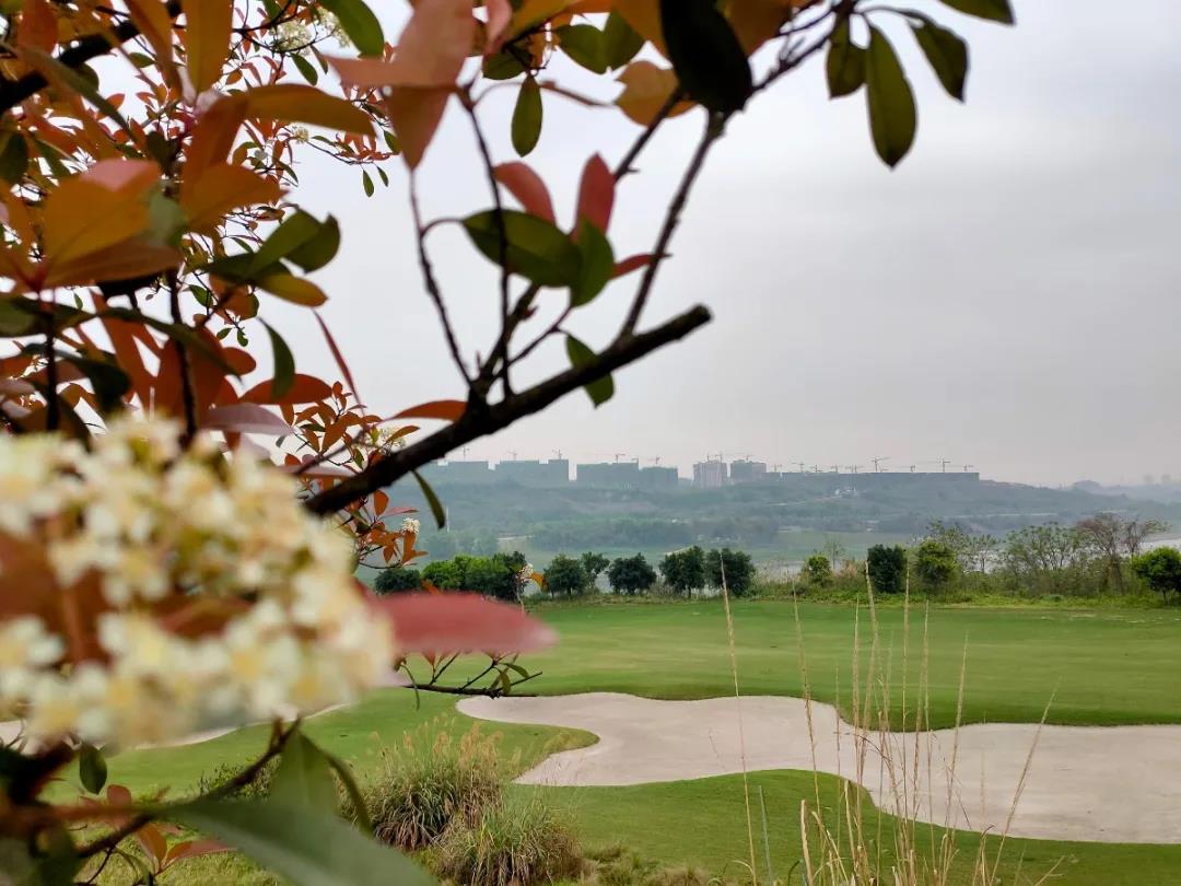 重庆红鼎高尔夫球会