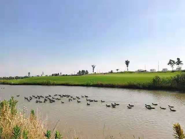 泰州华侨城高尔夫球会