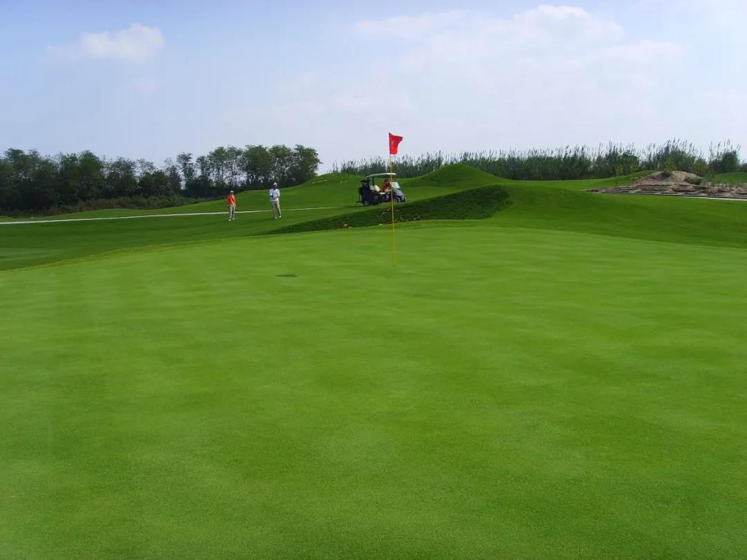 如东小洋口高尔夫球会