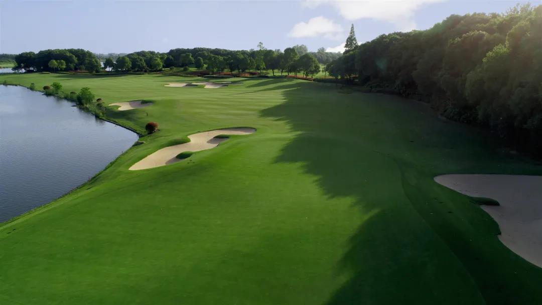 仙桃飞鹭林高尔夫球会（球场改造）