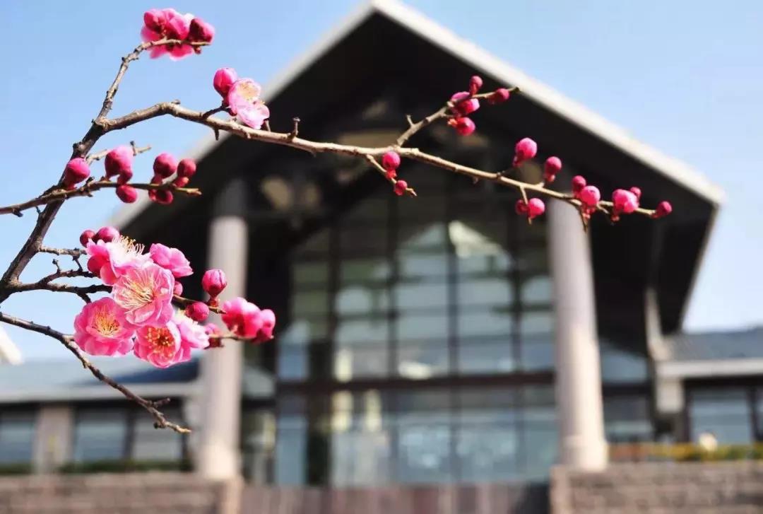 太湖国际高尔夫球会