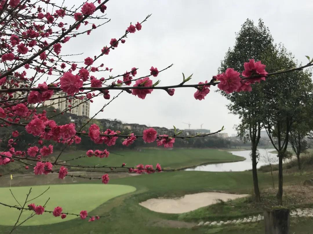 重庆保利高尔夫球会