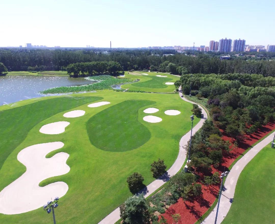 艾力枫社高尔夫球会