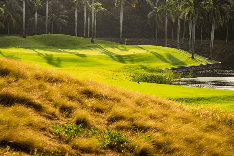 亚龙湾高尔夫球会