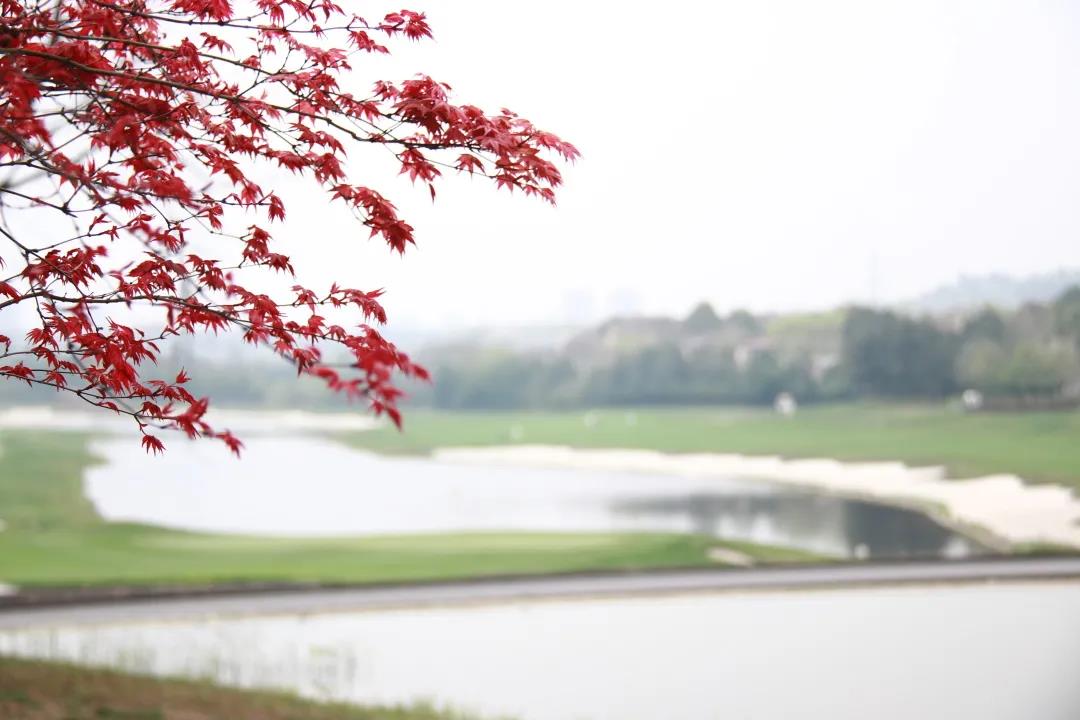 成都保利高尔夫球会