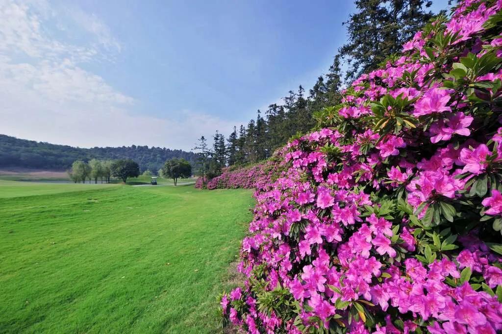 银杏湖高尔夫球会