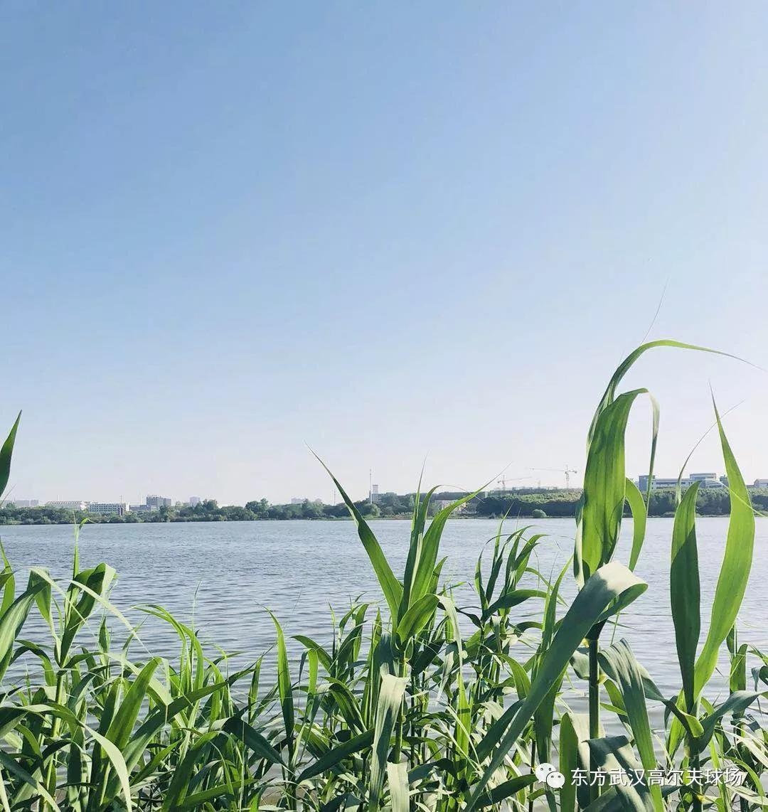 武汉东方高尔夫球会