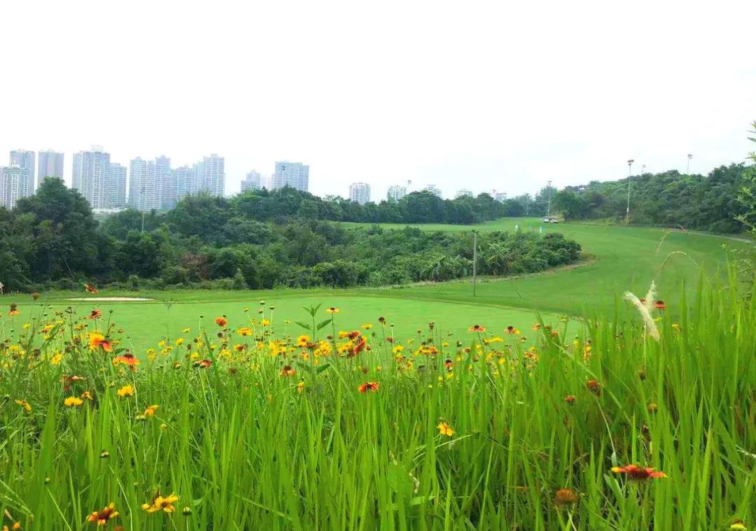 远洋国际高尔夫球会