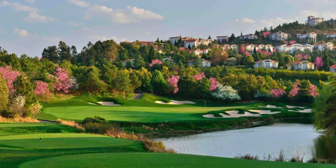 2026大湾区球场目录