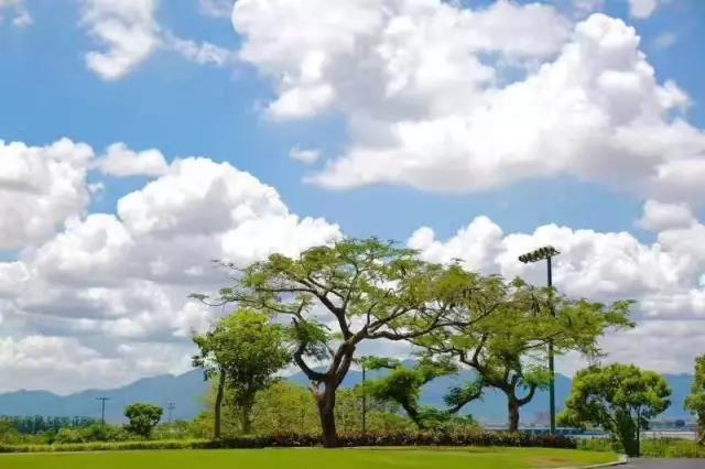 东方厦门高尔夫球会