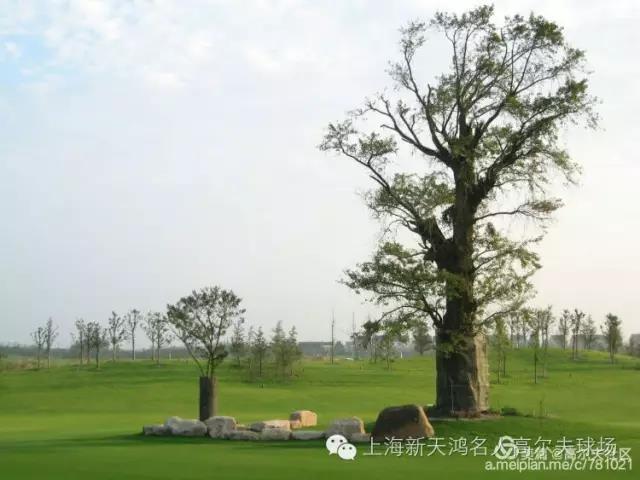 新天地鸿人高尔夫球会