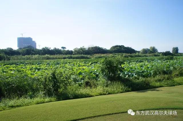 武汉东方高尔夫球会