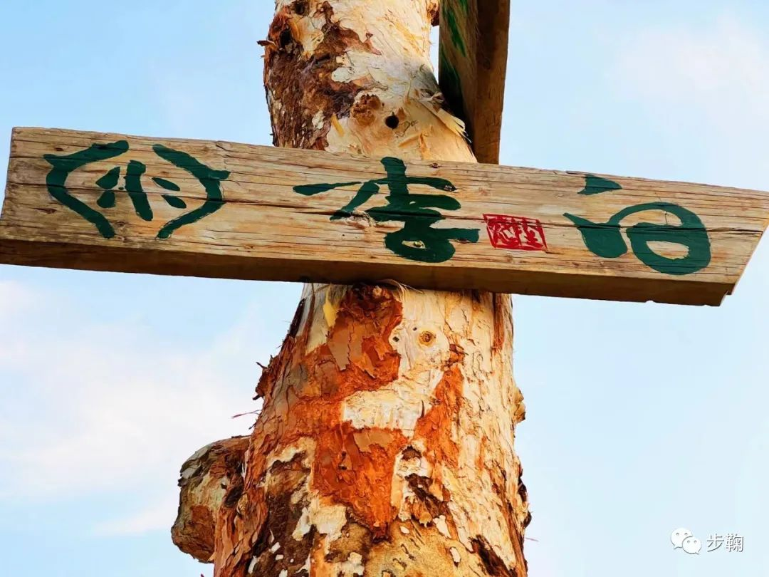 塔克拉玛干生态高尔夫（步鞠）丰富多彩的名字