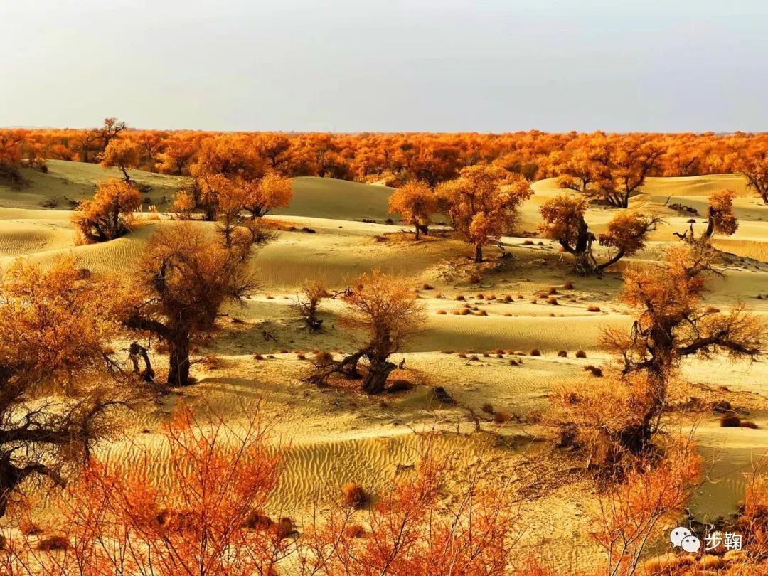 步鞠运动及场地