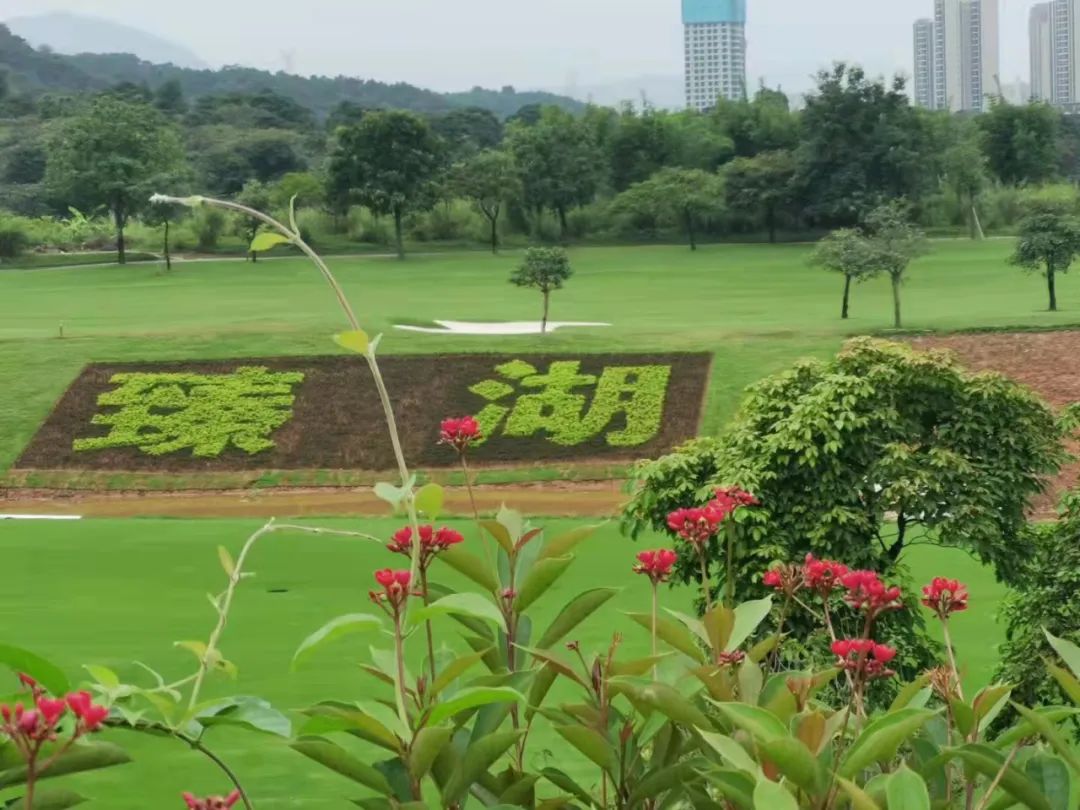 四会臻湖高尔夫球会