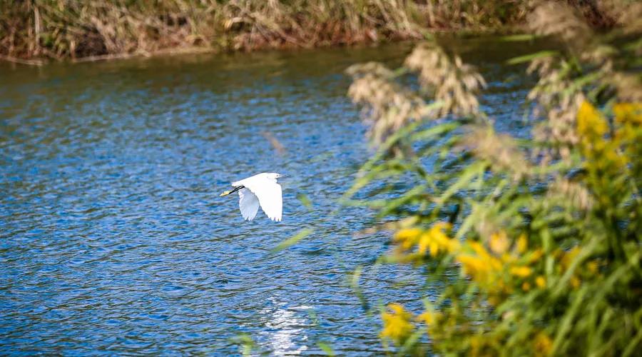 棕榈滩高尔夫球会