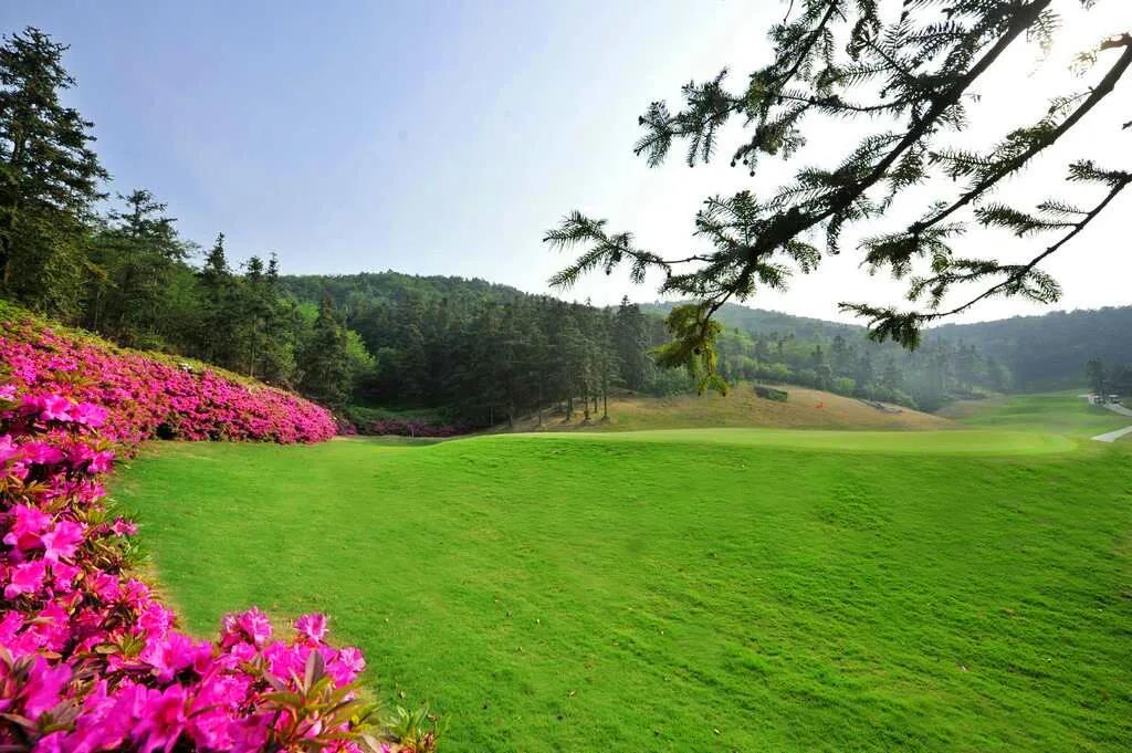 银杏湖高尔夫球会