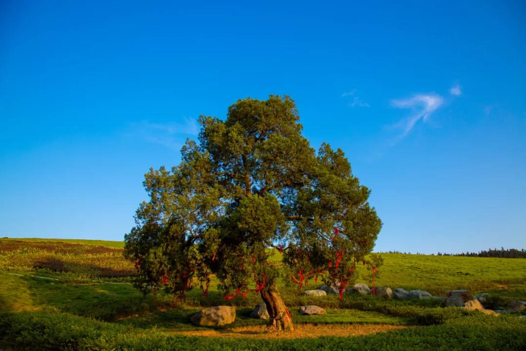 银杏湖高尔夫球会