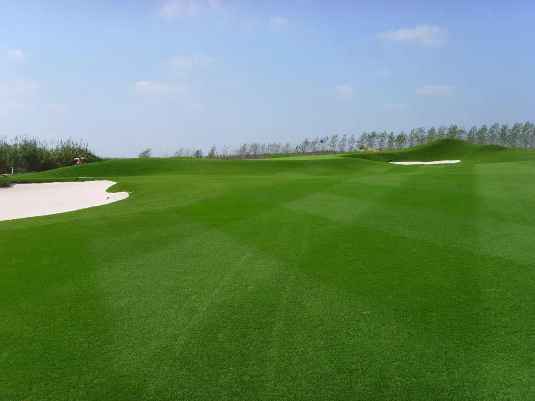如东小洋口高尔夫球会