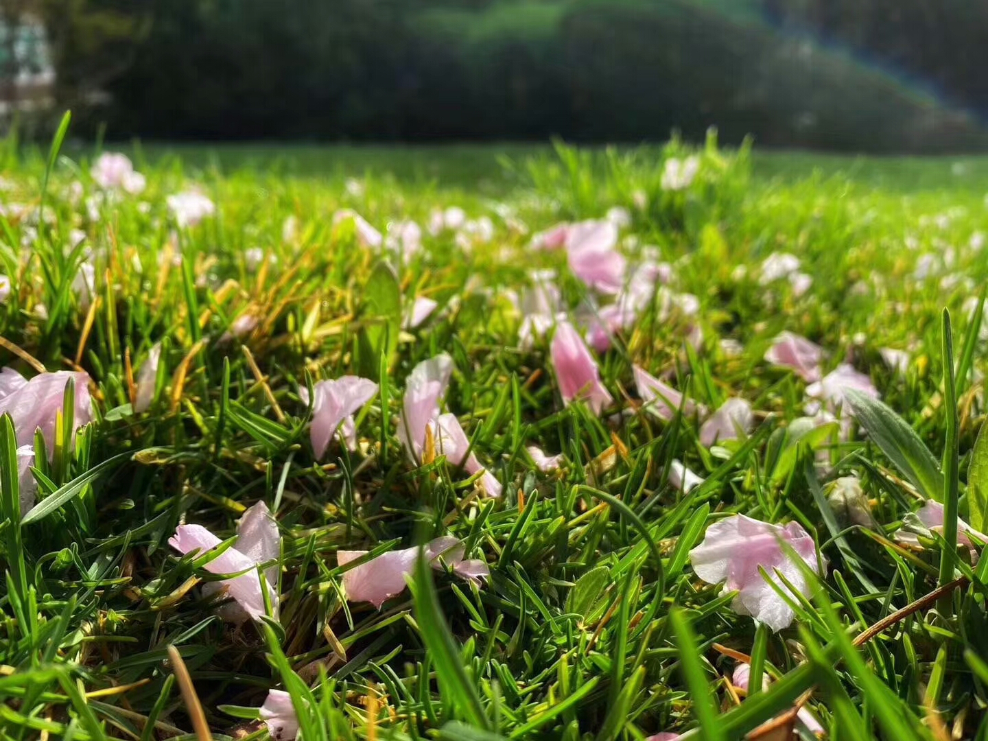 北京北辰高尔夫球会