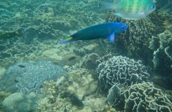 【马来西亚】佳蓝汶莱+丝绸港湾+沙巴5天4晚3球