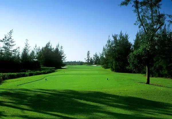 美视高尔夫球会（球场改造）