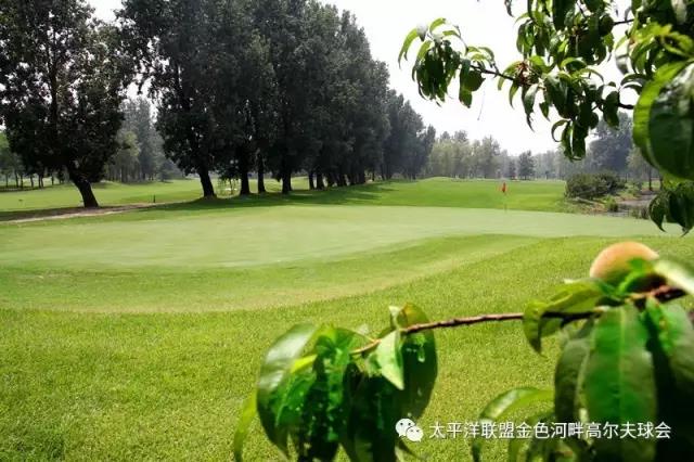 金色河畔高尔夫球会