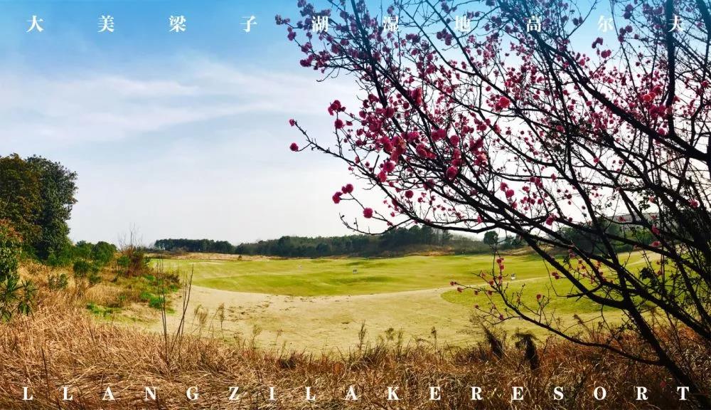 武汉梁子湖高尔夫球会