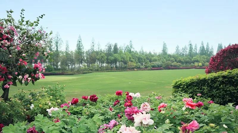 湖北飞鹭林高尔夫2天1晚2球套餐