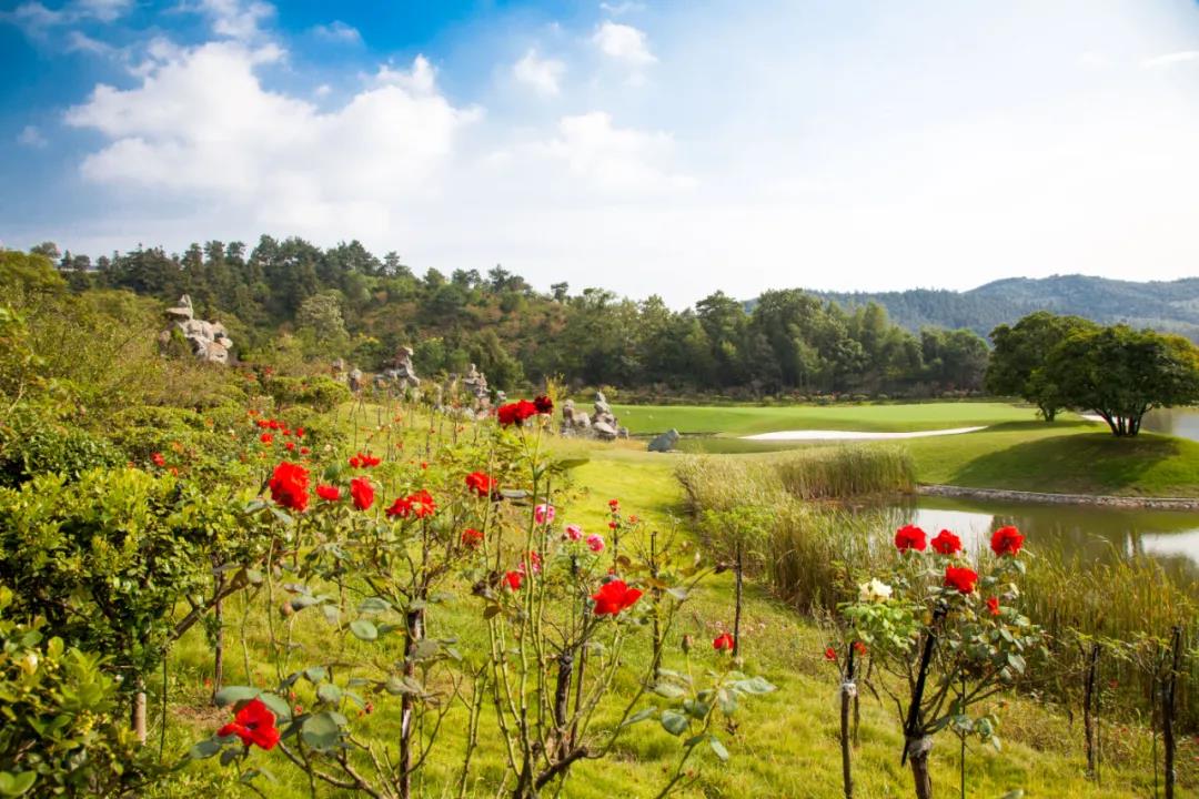 南京银杏湖高尔夫1天1晚1球套餐