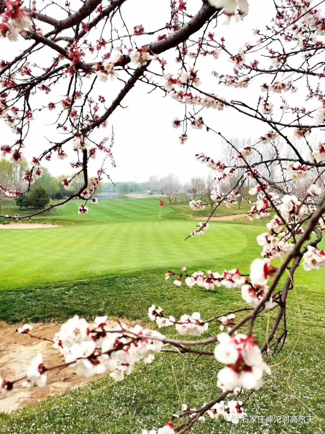 河北滹沱河高尔夫球会